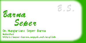 barna seper business card